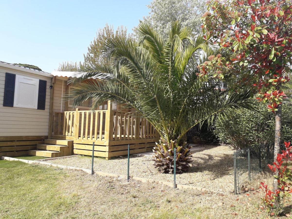 Campsite Mobil Neuf 2 6 Personnes Saint Aygulf